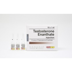 Testosterone Enanthate Genesis 10x1ml