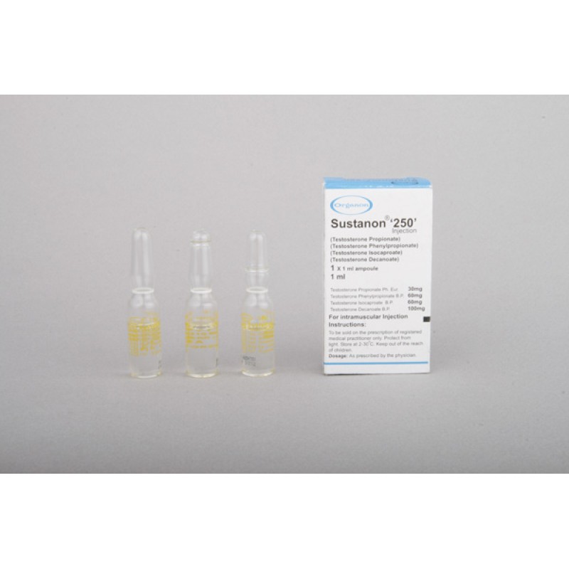 Buy Sustanon 250 Organon Pakistan Online Buy Sustanon 250 Organon Pakistan Online